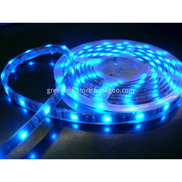 12V Blue Waterproof Led Decorative Light
